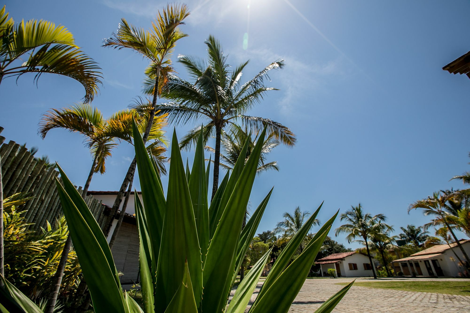 Vila Morena Trancoso Exteriör bild